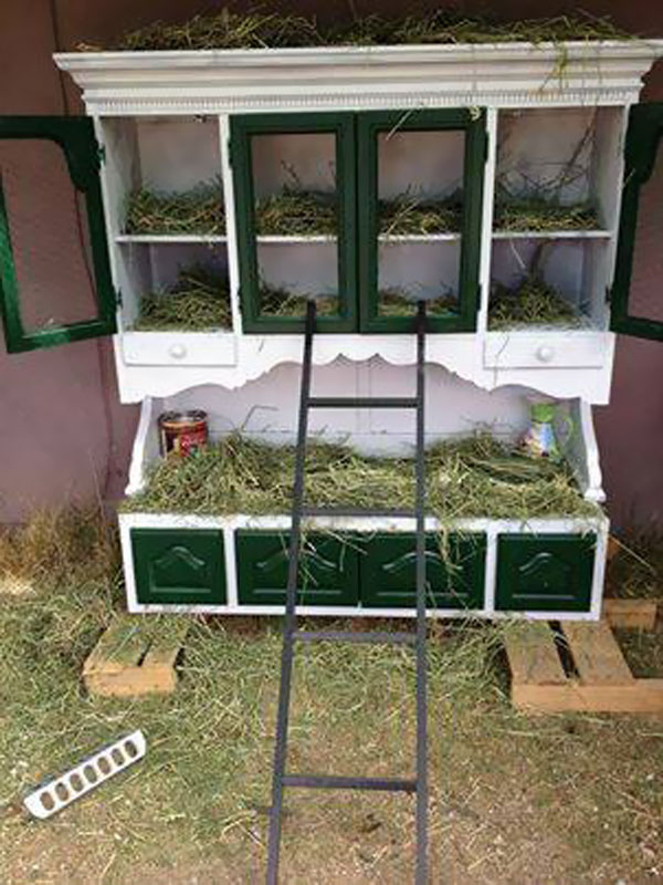 Turn an old china cabinet into a chicken coop.