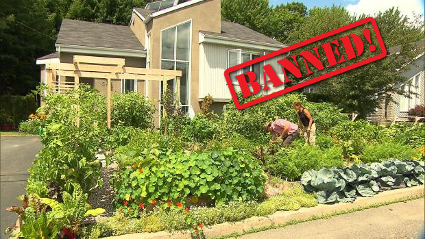 families getting banned for growing gardens