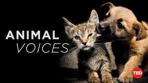 animal-voices-documentary
