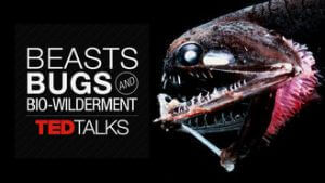 beasts-bugs-and-biowilderment-documentary
