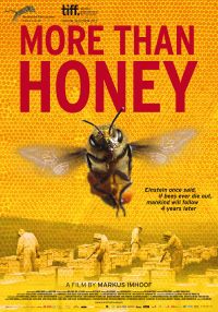 more-than-honey-documentary