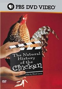 natural-history-of-the-chicken-documentary
