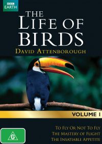 the-life-of-birds-documentary
