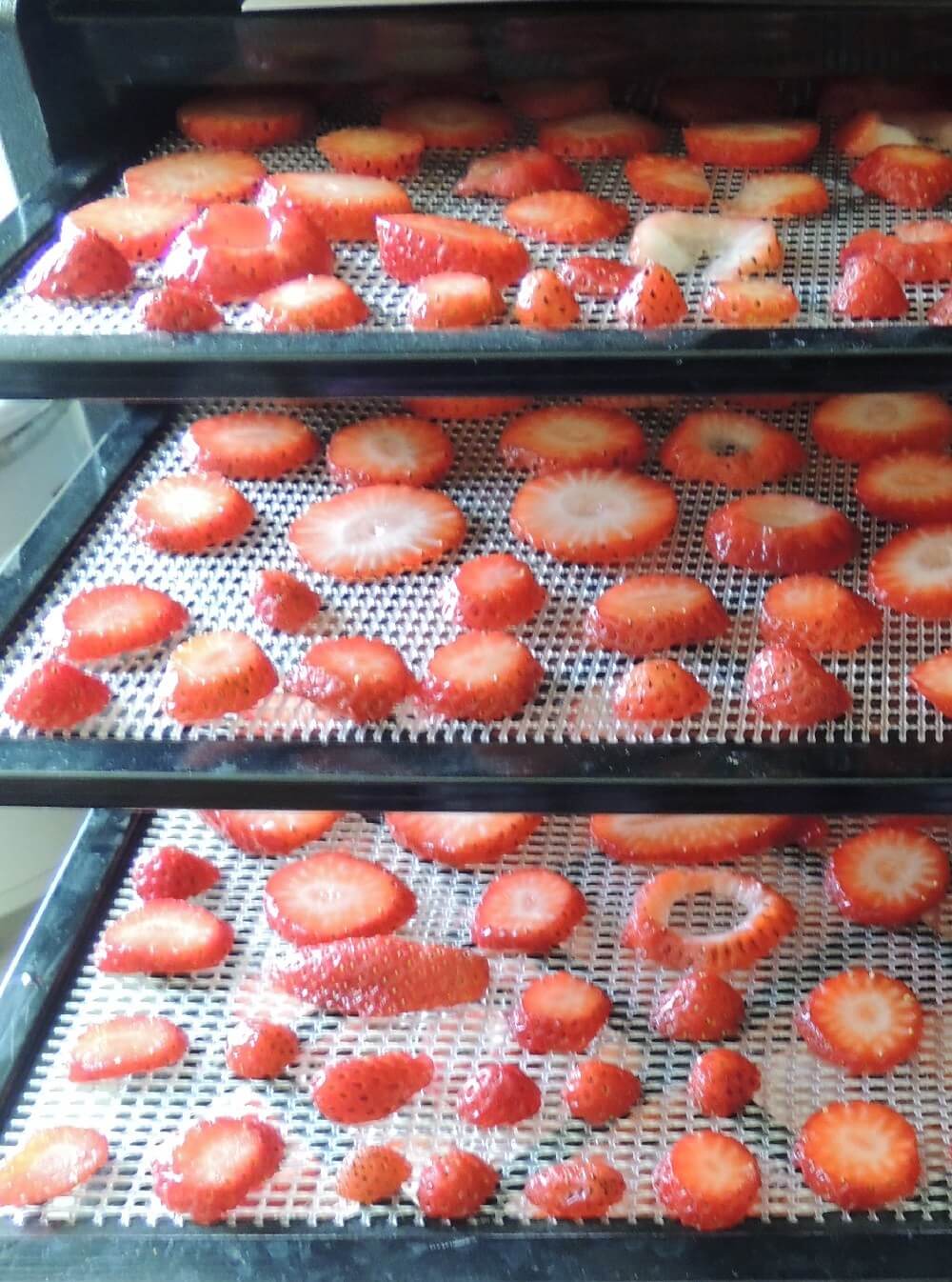 脱水机食谱:草莓在脱水器托盘
