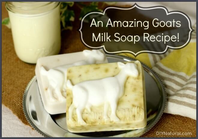 Milk Soap Recipes