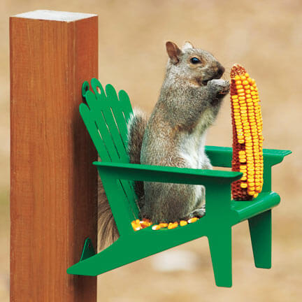 阿迪朗达克椅子松鼠喂食器