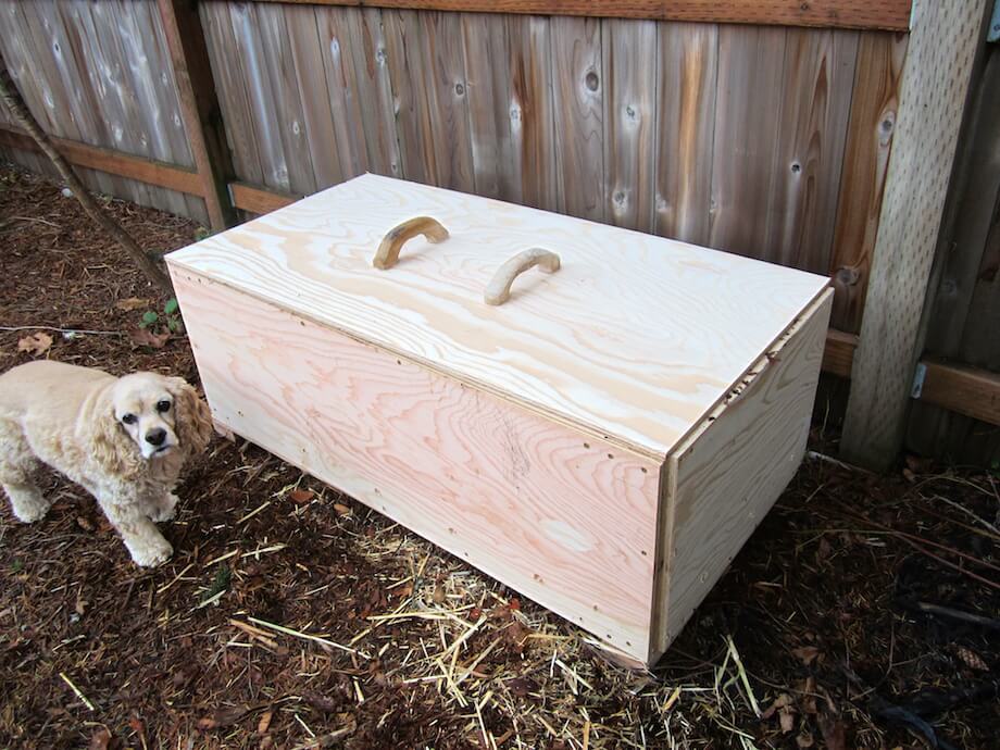 a dog hangs out by a worm bin