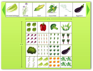Vegetable Garden Online