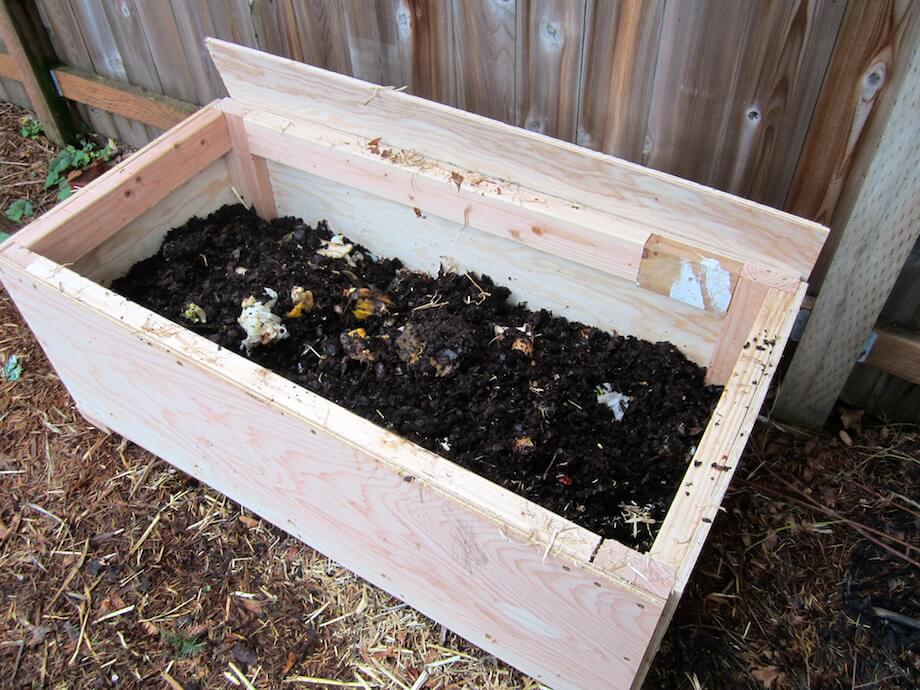 worm bin filled with a layer of dirt