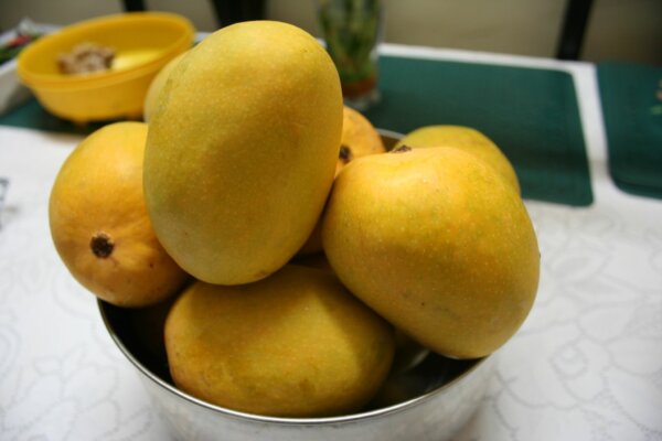 yellow-mango