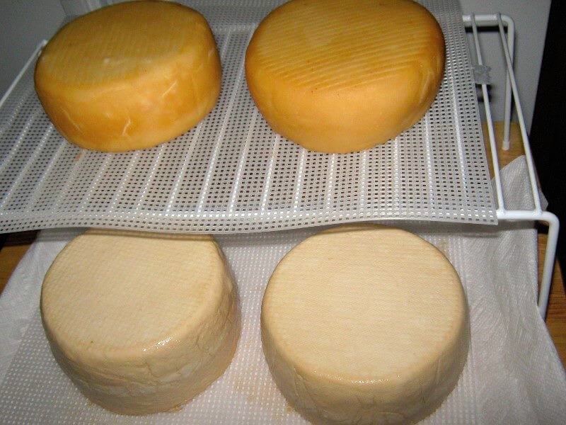 不含凝乳酶的山羊奶酪