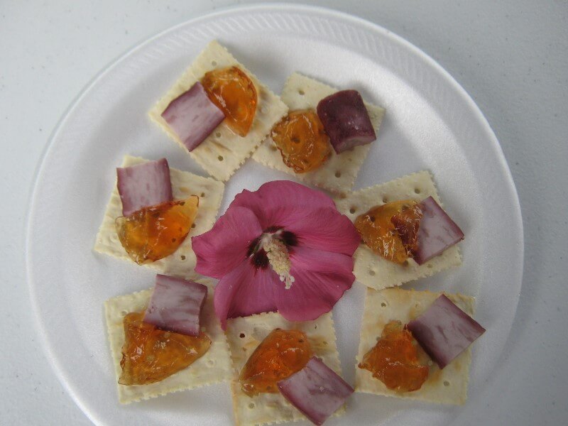 homemade goat cheese on crackers