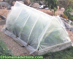 花园Bed-sized温室