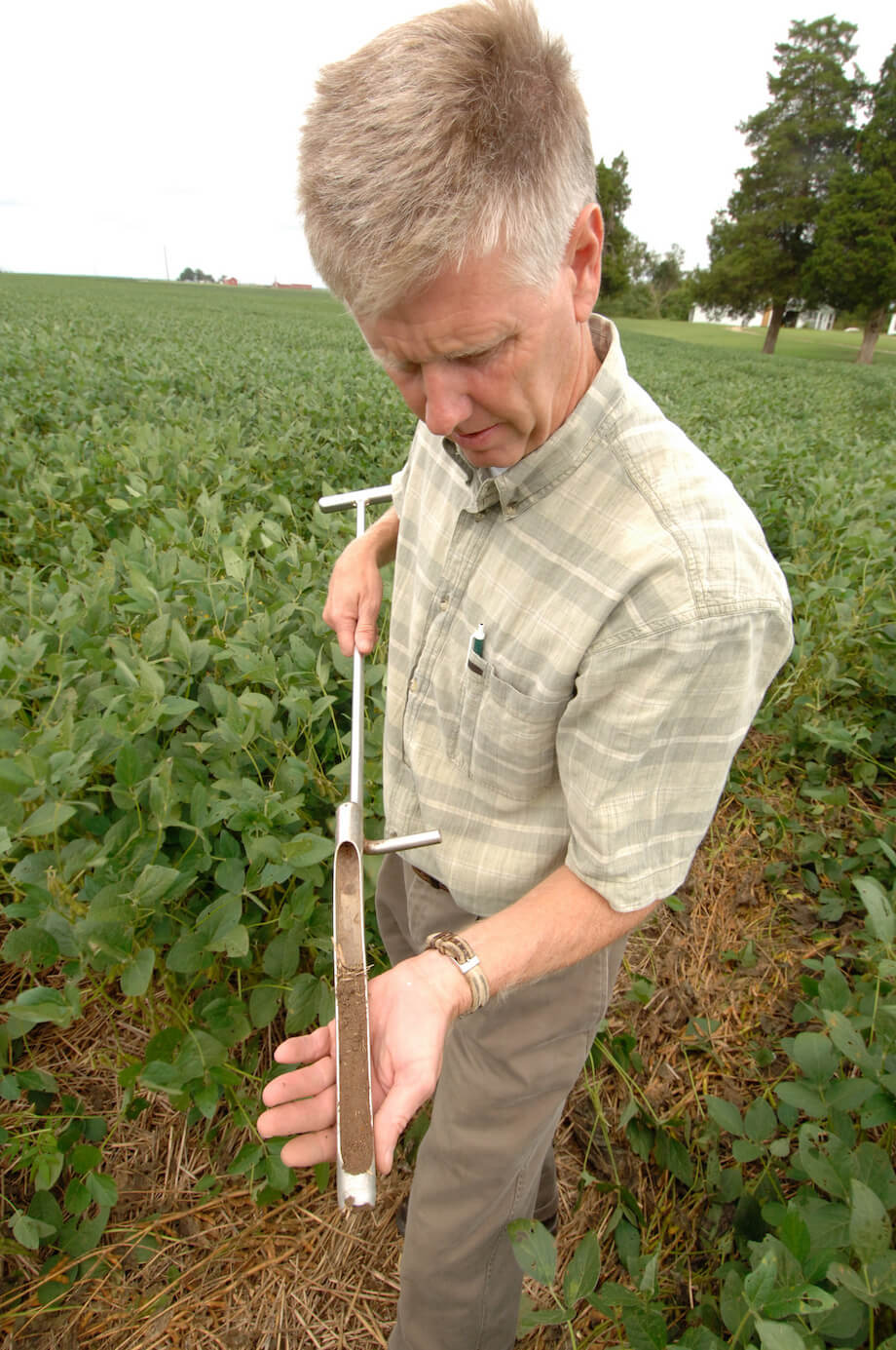 crop consultant draws soil sample