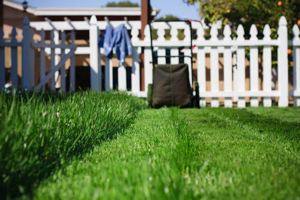 mowed grass to keep mosquitoes away