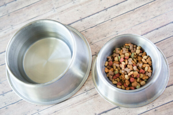 A picture of a silver water and pet food dish.