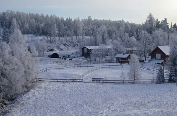 a farm covered in snow with trees in the distance