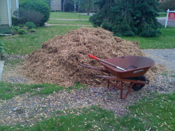 pile of wood chip mulch in yard with wheel barrow