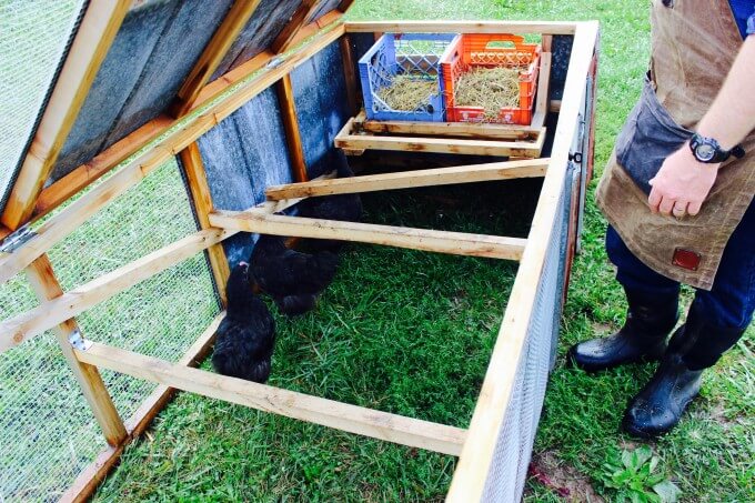 Affordable Chicken Tractor Plans
