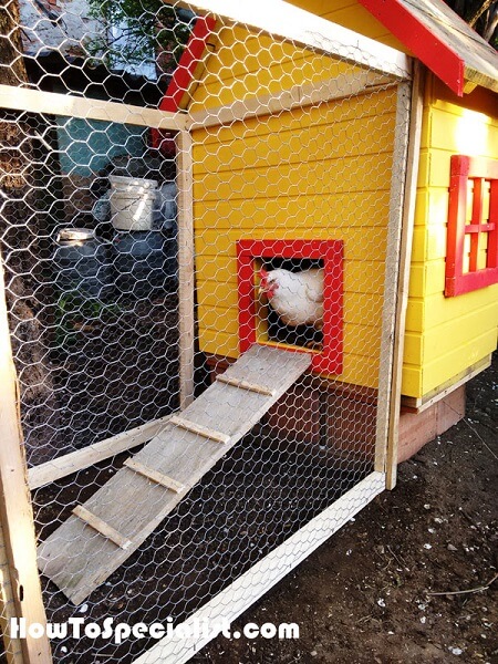 Insulated Chicken Coop Plans
