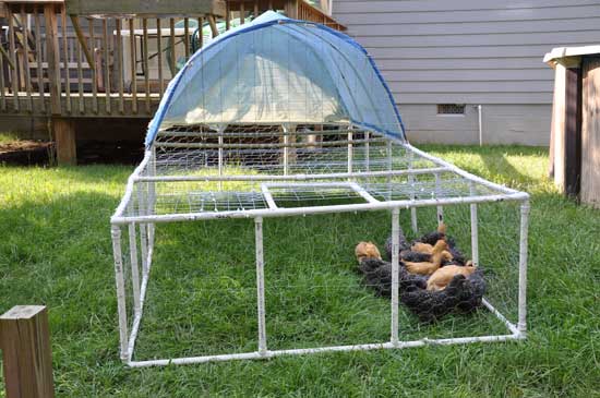 PVC Pipe Chicken Tractor Plans