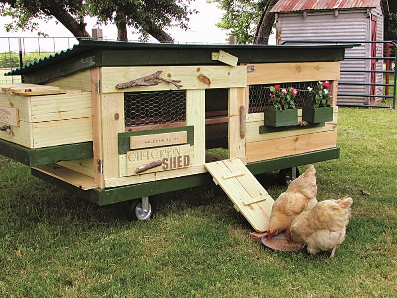 Shed Style Chicken Tractor Plans