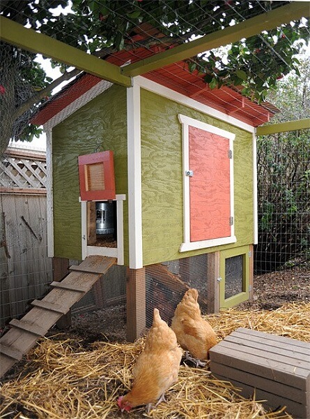 Urban Chicken Coop Plans