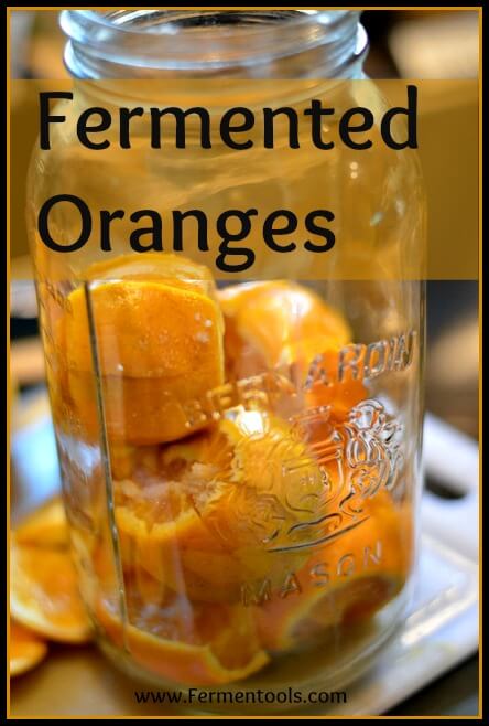 Fermented Oranges