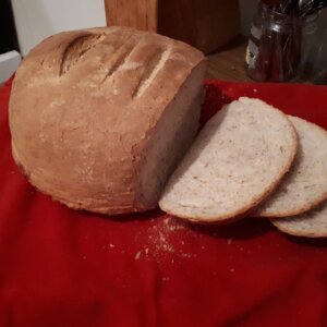 面包酵母面包红毛巾