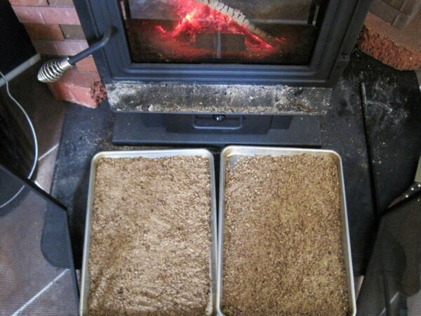 ground acrons drying on cookie sheet by wood stove