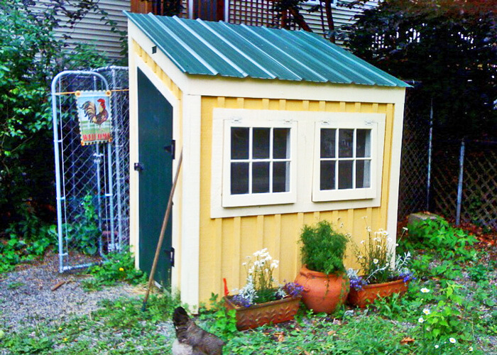 small 4' x 6' chicken coop