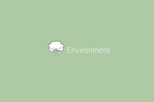 environment