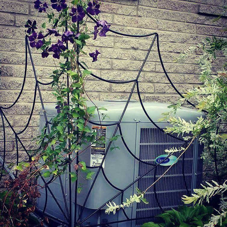 蜘蛛网花园格子