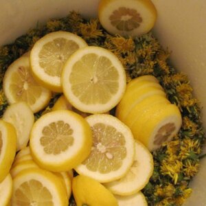 dandelion and lemon wine
