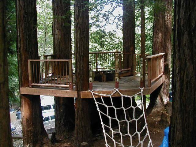 Oldgrowth Tree House Plans
