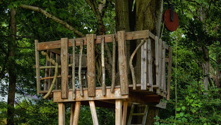 Wood Branch Tree House
