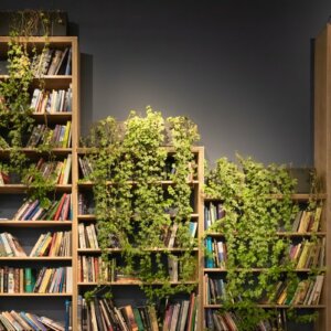 bookshelf with ivy growing on it