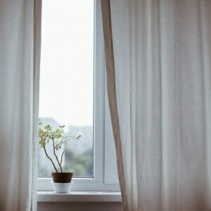 窗帘和植物