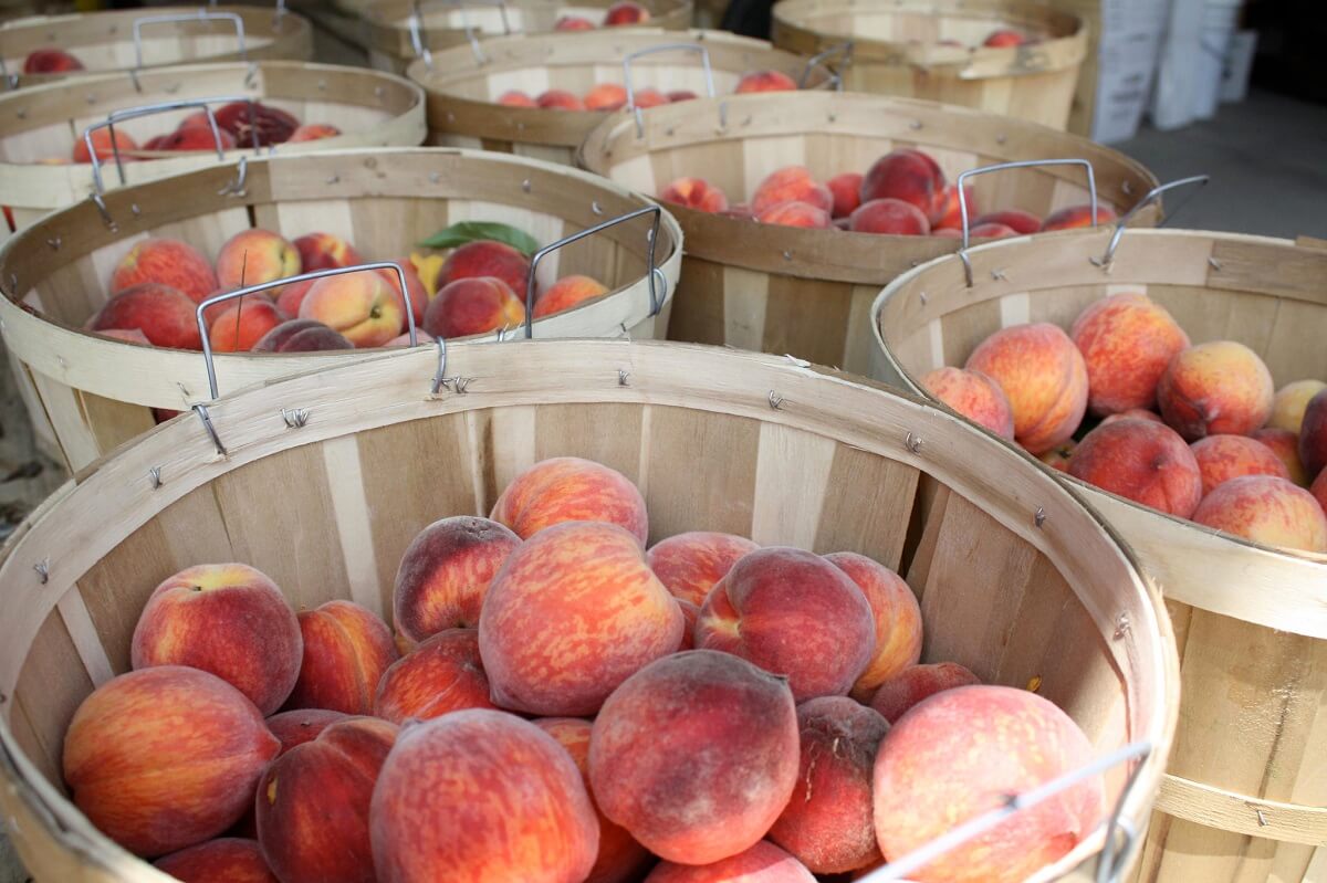 peaches in bins