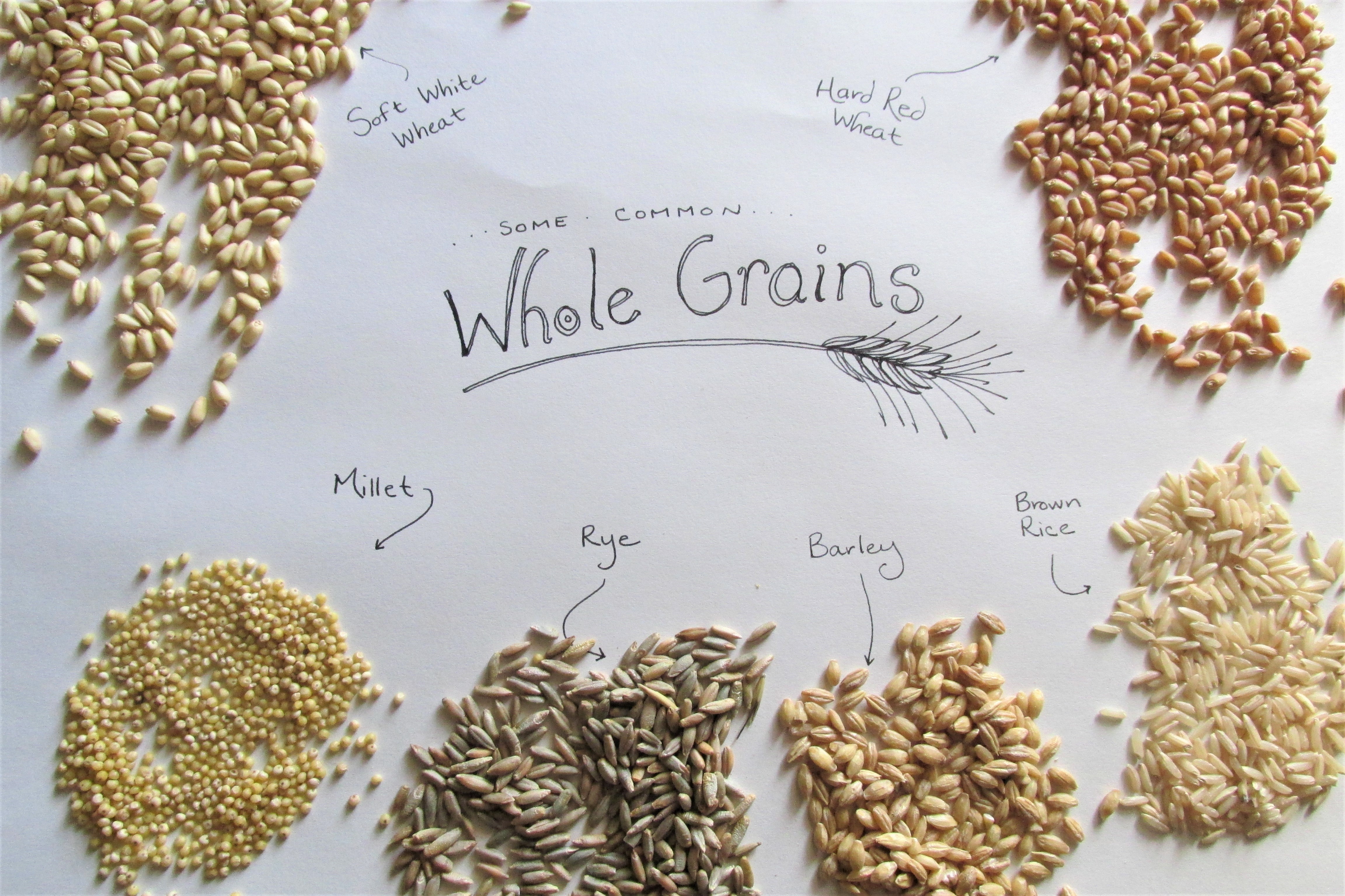 whole grains and names