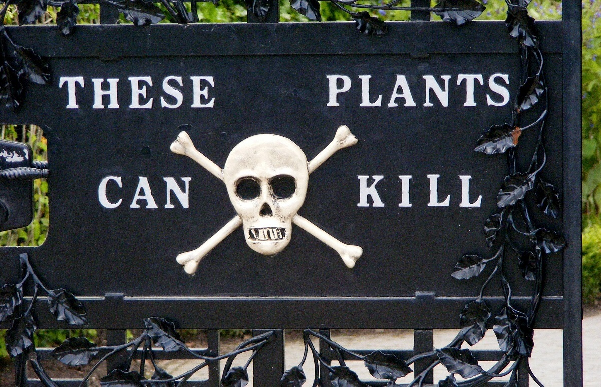 这些植物可以杀死的迹象