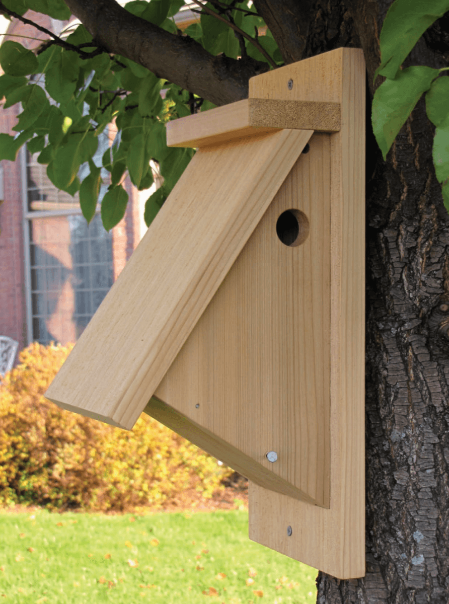 chickadee bird house plans