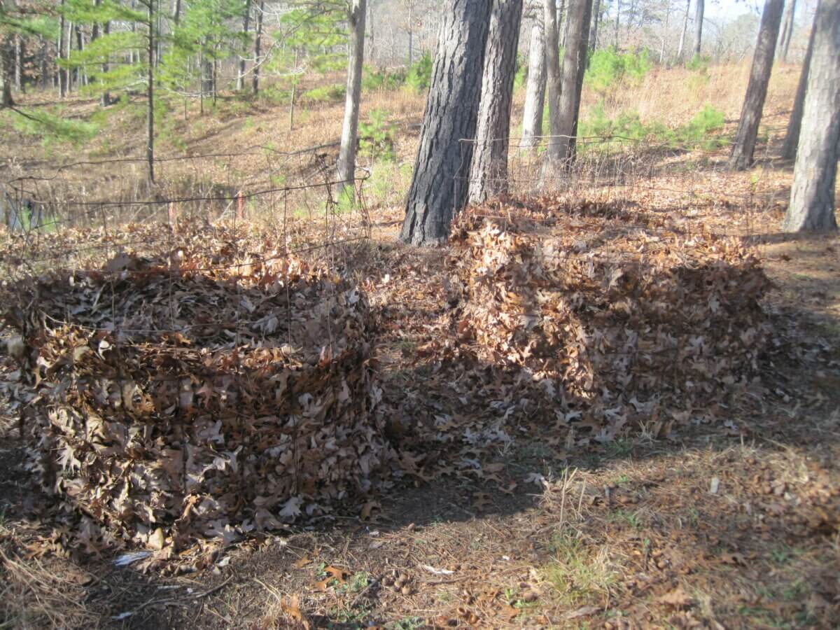 how to make soil acidic with leaf mold