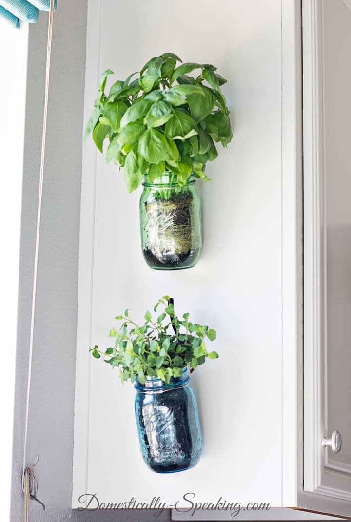 hanging-mason-jar-planters