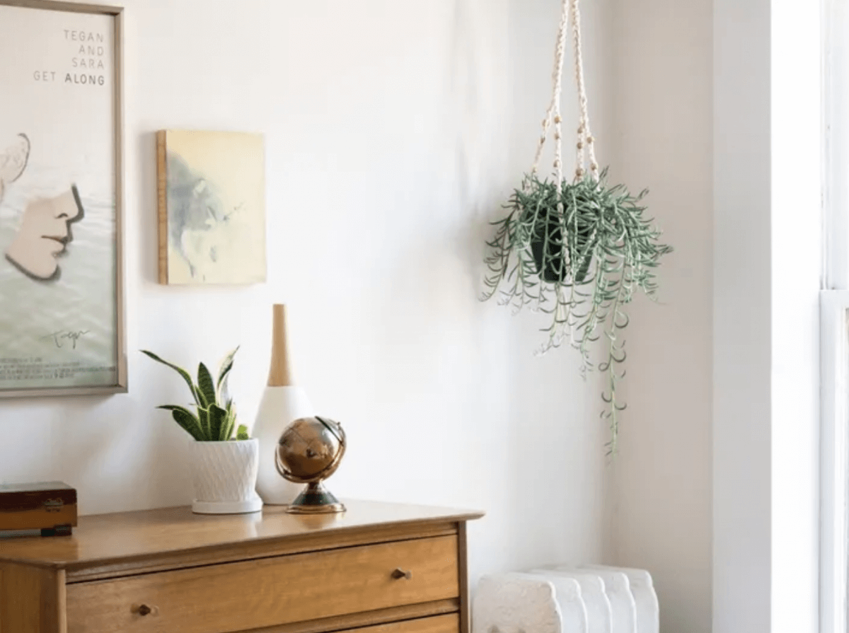 crochet-plant-hanger