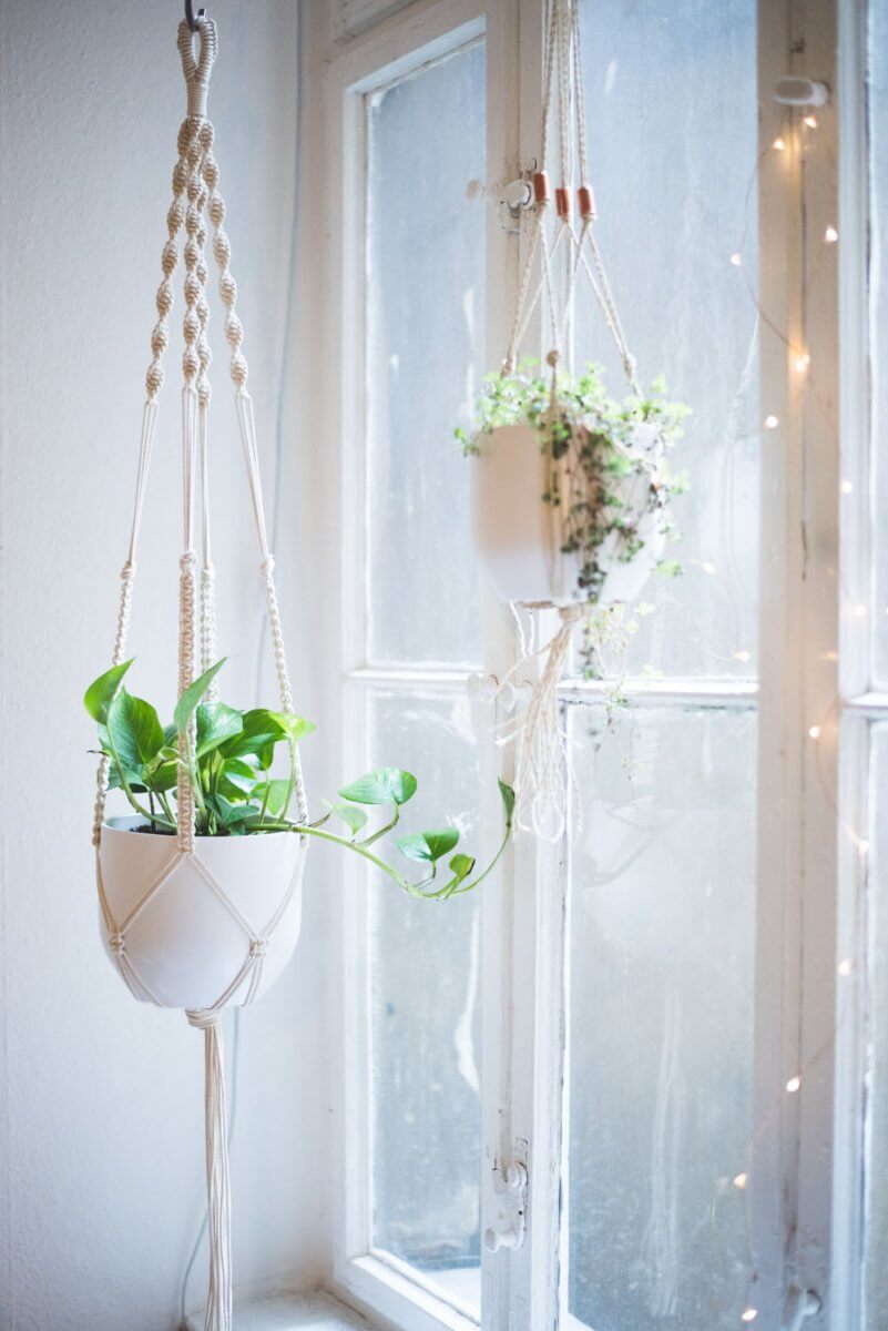 indoor hanging planters