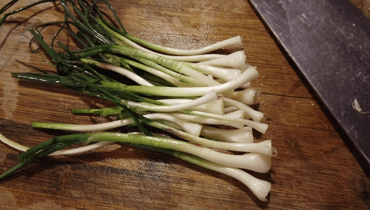 chopped-field-garlic