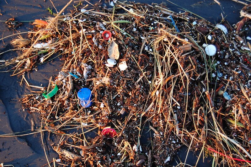 plastic-waste-from-ocean