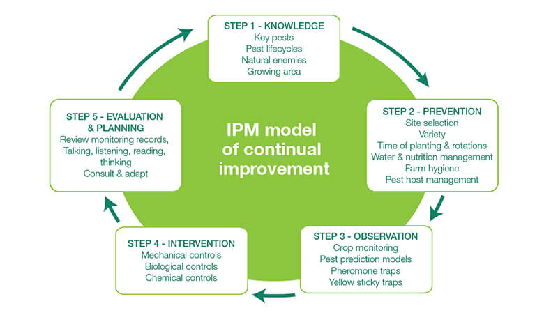Integrated Pest Management model