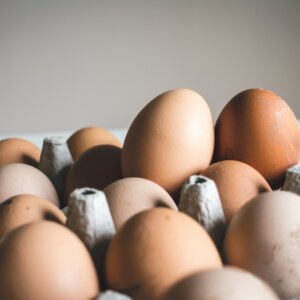 浅焦点摄影褐色的鸡蛋